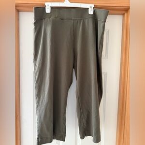 Lands End Taupe Slip-On Pants Size XXL